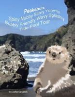 Peakabu's Spiny Nubby Slimy Yummy Bubbly Friendly Wavy Splashy Tide Pool Tour