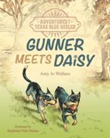 Adventures of a Texas Blue Heeler: Gunner Meets Daisy