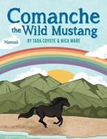 Comanche the Wild Mustang