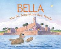 Bella the St. Augustine Sea Turtle