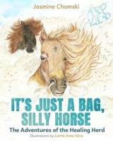 It's Just a Bag, Silly Horse