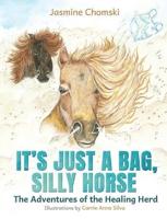 It's Just a Bag, Silly Horse
