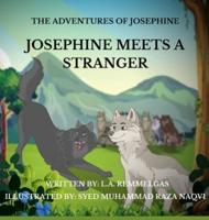 Josephine Meets A Stranger