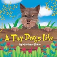 A Tiny Dog's Life