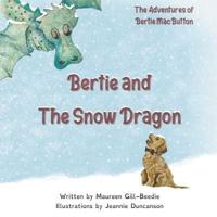 Bertie and the Snow Dragon