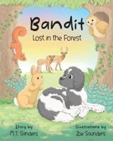 Bandit - Lost in the Forest