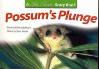 Possums Plunge