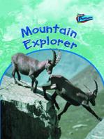 Mountain Explorer