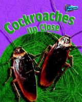 Cockroaches Up Close