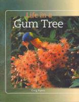 Life in a Gum Tree