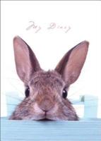 Lock-Up Diary - Sneaky Bunny