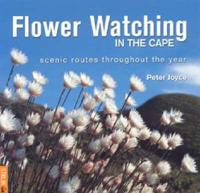 Flower Watching in the Cape