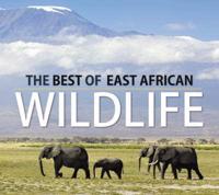 Best of East African Wildlife