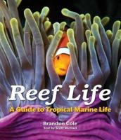 Reef Life