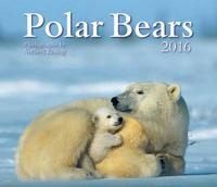 Polar Bears 2016 Calendar