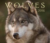 Wolves 2016 Calendar