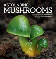 Astouding Mushrooms