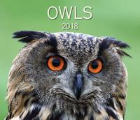 Owls 2018