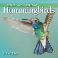 Exploring the World of Hummingbirds