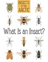 Insects of the Arctic: What Is an Insect?