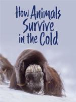 How Animals Survive in the Cold