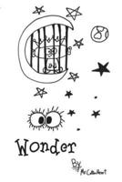 Wonder: A Story About a Boy and His Loss