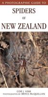 A Photographic Guide To Spiders Of New Zealand