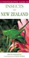 A Photographic Guide To Insects Of New Zealand