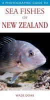 A Photographic Guide To Sea Fishes Of New Zealand