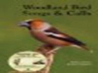 Woodland Bird Songs & Calls