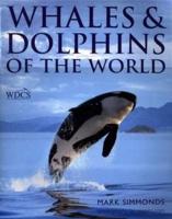 Whales & Dolphins of the World