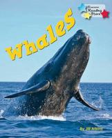 Whales 6-Pack