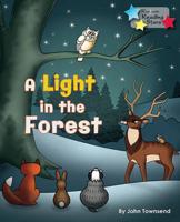 A Light in the Forest 6-Pack