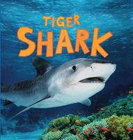 Tiger Shark