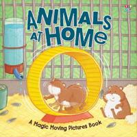 Animals At Home