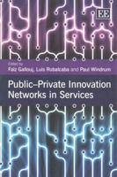 Public-Private Innovation Networks in Services