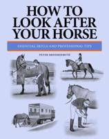 How to Look After Your Horse