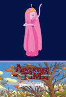 Adventure Time. Volume 4