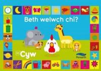 Beth Welwch Chi?