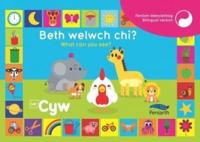 Beth Welwch Chi? What Can You See? Cyw