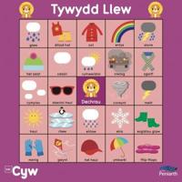 Mat Rhaglennu Cyw: Tywydd Llew