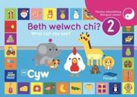 Beth Welwch Chi?. 2