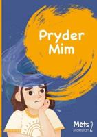 Mêts Maesllan 2 - Pryder Mim