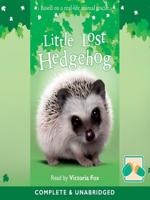 Little Lost Hedgehog