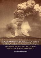 Micromorphological Analysis of Activity Areas Sealed by Vesuvius' Avellino Eruption