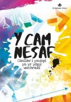 Y CAM NESAF 10 PACK