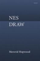 Nes Draw