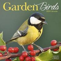 Garden Birds Calendar 2020