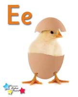 Ee