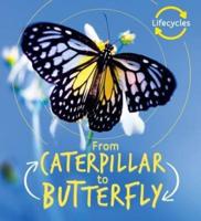 From Caterpillar to Butterfly